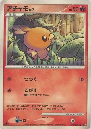 Torchic